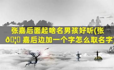 张嘉后面起啥名男孩好听(张 🦉 嘉后边加一个字怎么取名字)